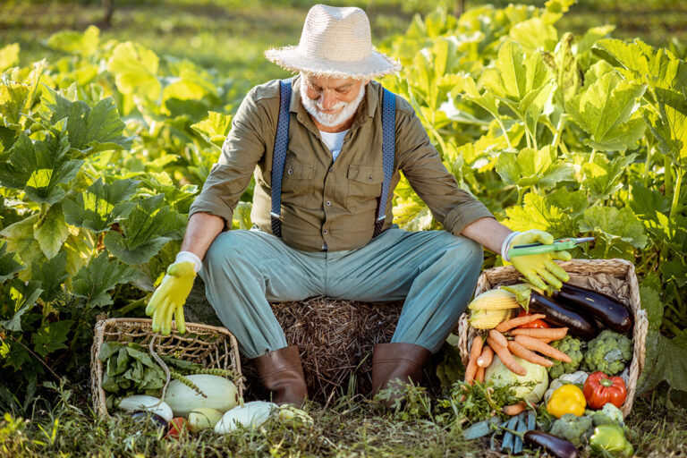 How to Keep Your Lawn Green and Healthy Year-Round